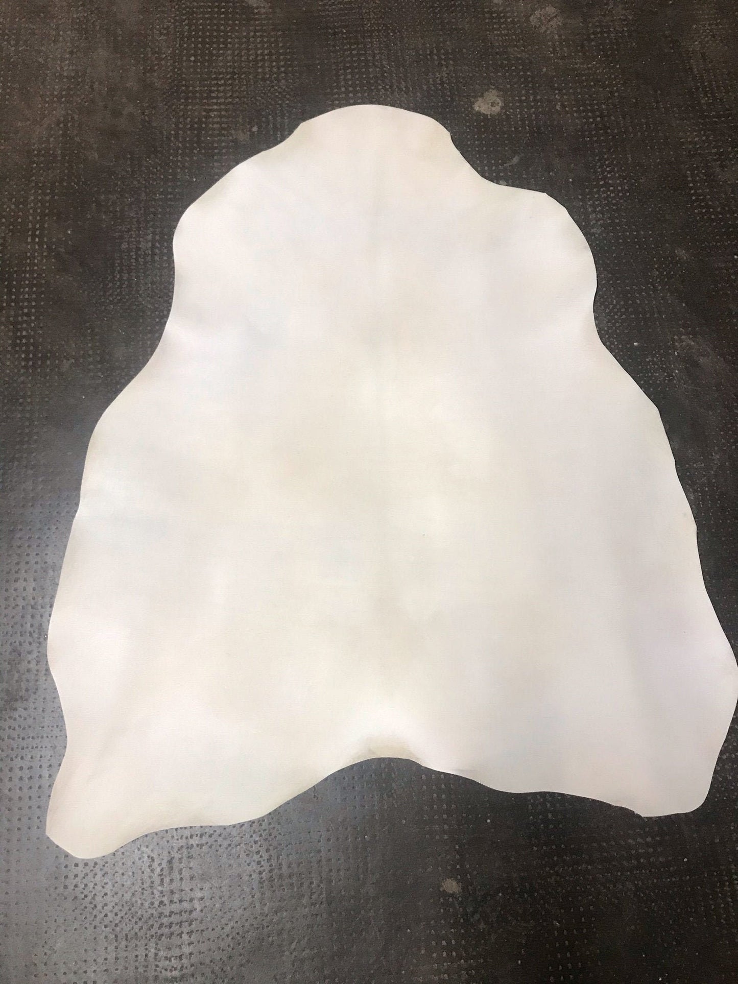 Real Goatskin Parchment  Full Goat Skin
